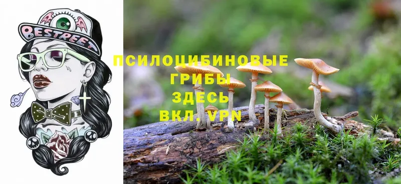 Галлюциногенные грибы Magic Shrooms  закладки  Улан-Удэ 